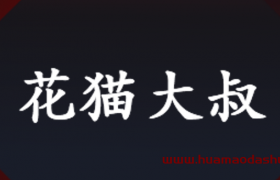 花猫大叔短视频创业-创业思维