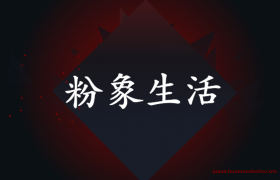 淘宝客的粉象生活月入过万的套路