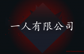 一人有限公司责任承担