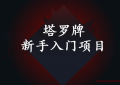 偏门日挣五百元的生意： 塔罗牌新手入门项目