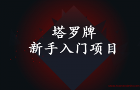偏门日挣五百元的生意： 塔罗牌新手入门项目