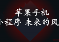 （iOS 14 更新后）苹果手机小程序 未来的风口